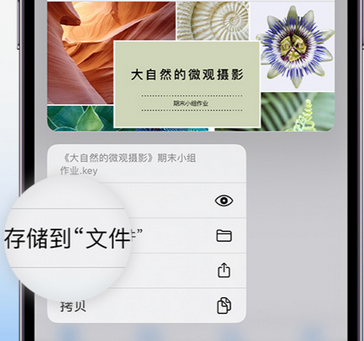 南乐apple维修中心分享iPhone文件应用中存储和找到下载文件