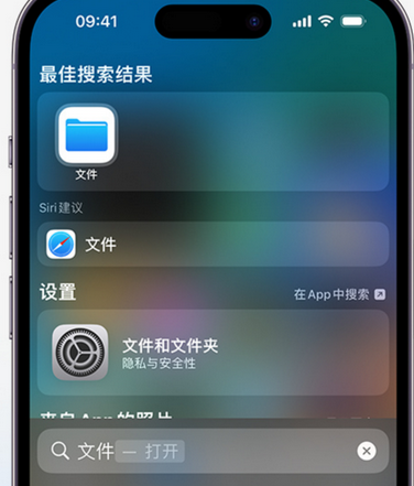 南乐apple维修中心分享iPhone文件应用中存储和找到下载文件 