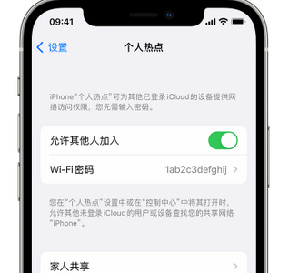 南乐apple服务站点分享iPhone上个人热点丢失了怎么办 