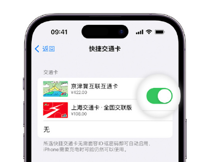 南乐apple维修点分享iPhone上更换Apple Pay快捷交通卡手绘卡面 