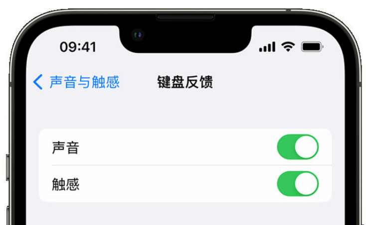 南乐苹果手机维修分享iPhone 14触感键盘使用方法 