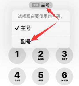 南乐苹果14维修店分享iPhone 14 Pro Max使用副卡打电话的方法 