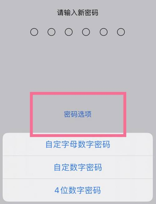 南乐苹果14维修分享iPhone 14plus设置密码的方法 