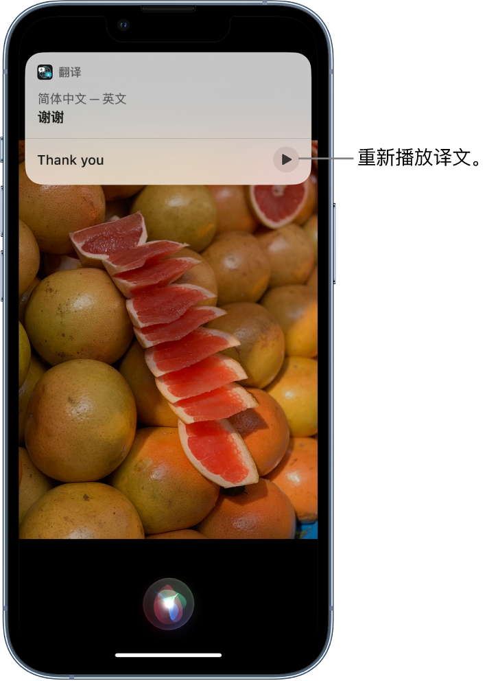 南乐苹果14维修分享 iPhone 14 机型中使用 Siri：了解 Siri 能帮你做什么 