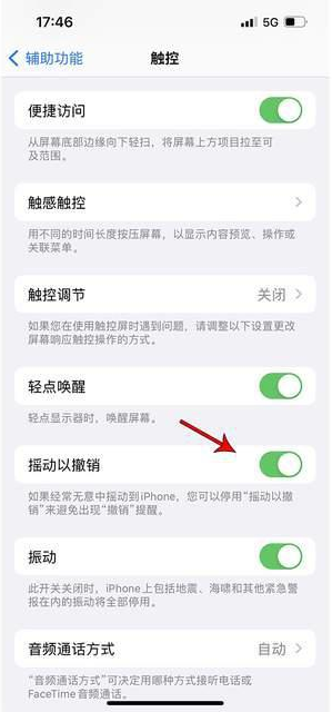 南乐苹果手机维修分享iPhone手机如何设置摇一摇删除文字 